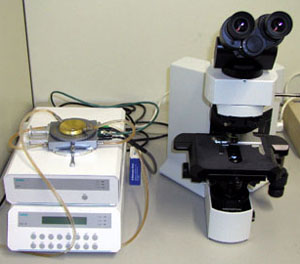 Stereomikrosop BX-51 mit Heiztisch