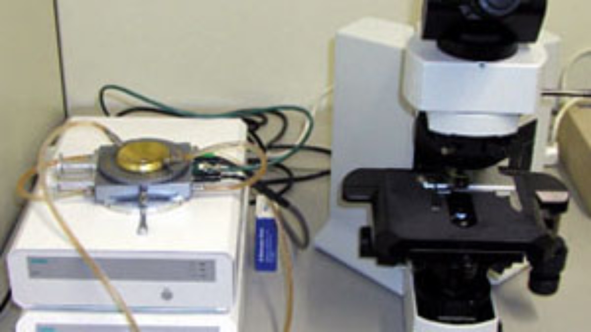 Stereomikrosop BX-51 mit Heiztisch
