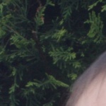 Dieses Bild zeigt Hübler
